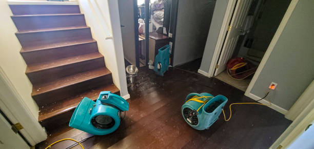 Best Sewage cleanup and water damage restoration  in Thomas, OK