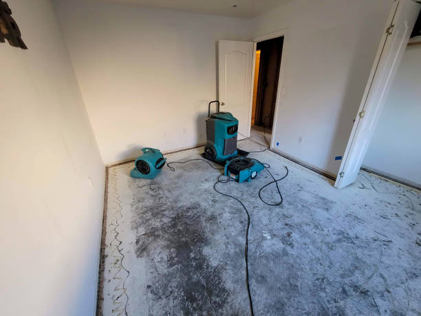Best Water damage restoration near me  in Thomas, OK