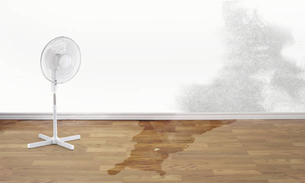 Best Flooded house restoration  in Thomas, OK