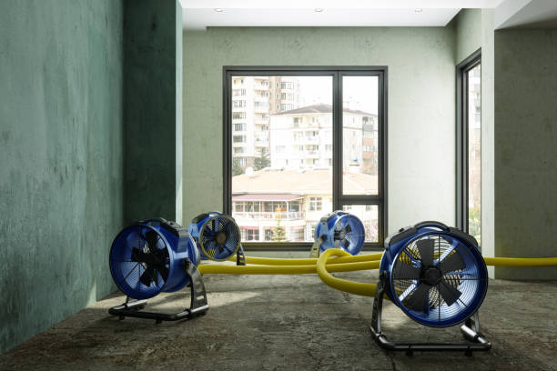 Best Emergency water damage restoration  in Thomas, OK